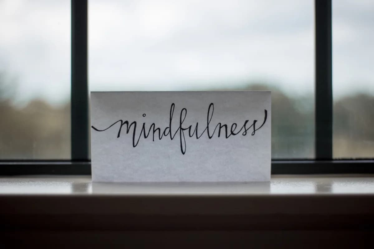 The Fourth Pillar of Resilience: Mindfulness